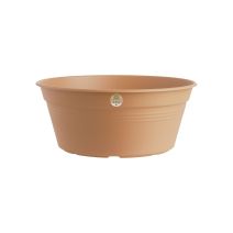 Coupe Green basics 27cm terre cuite doux