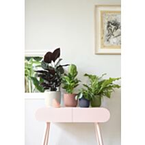 Pot Vibes Fold en plastique recyclé rond  16cm anthracite - ELHO