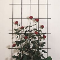 Treillage métallique vert 60x150cm - WINDHAGER