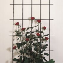 Treillage métallique blanc 75x150cm - WINDHAGER