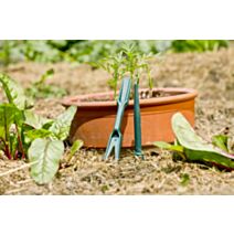 Set de repiquage (plantoir + repiqueur)