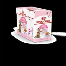 Pâtées Chaton Kitten Sterilised Gelee 12x85gr - ROYAL CANIN