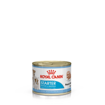 Pâtées Chiot Starter Mousse 195gr - ROYAL CANIN