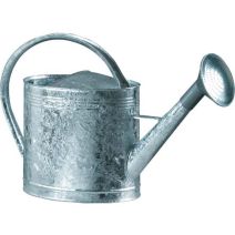 Arrosoir acier galvanisé avec pomme (13 litres)