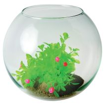 Aquarium Boule Soufflée Ø28cm 8L - ZOLUX
