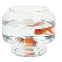 Aquarium Boule Neptune Ø25cm 5L - ZOLUX
