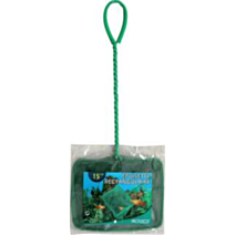 EPUISETTE VERTE 15CM