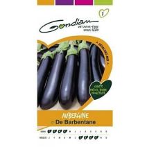 Graines Aubergine de Barbentane - GONDIAN