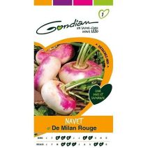 Graines Navet de Milan Rouge - GONDIAN