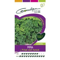 Graines Persil Frisé Vert Foncé - GONDIAN