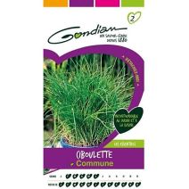 Graines Ciboulette Commune - GONDIAN