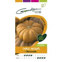 Graines Courge Musquée Muscade - GONDIAN