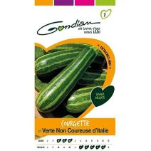 Graines Courgette Verte Non Coureuse d'Italie - GONDIAN