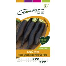 Graines Radis Rave Noir Gros Long d'Hiver de Paris - GONDIAN