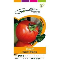Graines Tomate Saint Pierre - GONDIAN