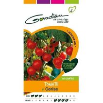 Graines Tomate Cerise - GONDIAN
