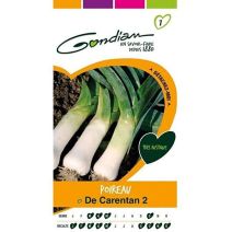 Graines Poireau de Carentan 2 - GONDIAN