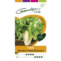 Graines Poirée Blonde à Carde Blanche 2 - GONDIAN