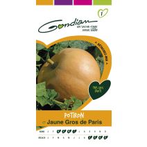 Graines Potiron Jaune Gros de Paris - GONDIAN