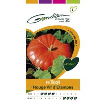 Graines Potiron Rouge Vif d'Etampes - GONDIAN
