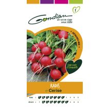Graines Radis Cerise - GONDIAN