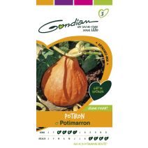 Graines Potiron Potimarron - GONDIAN
