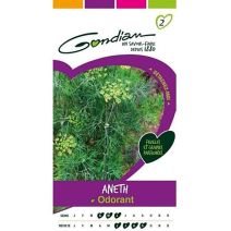 Graines Aneth Odorant - GONDIAN