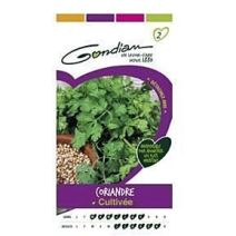 Graines Coriandre Cultivée - GONDIAN