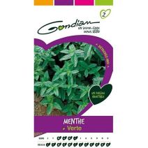 Graines Menthe Verte - GONDIAN