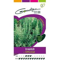 Graines Romarin Officinal - GONDIAN
