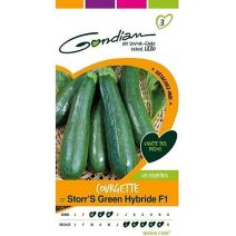 Graines Courgette Storr'S Green Hybride F1 - GONDIAN