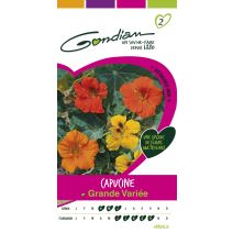 Graines Capucine Grande Variée - GONDIAN