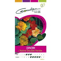 Graines Capucine Naine Double Variée - GONDIAN