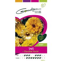 Graines Souci Double Varié - GONDIAN