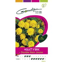 Graines Oeillet d'Inde Double Nain Jaune - GONDIAN