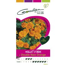 Graines Oeillet d'Inde Double Nain Orange - GONDIAN