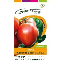 Graines Tomate Coeur de Boeuf - GONDIAN