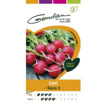 Graines Radis Saxa 3 - GONDIAN