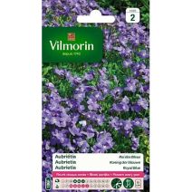 Graines Aubriétia Roi des Bleus - VILMORIN