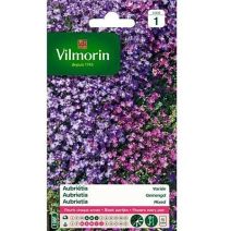Graines Aubriétia Variée - VILMORIN