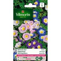 Graines Belle de Jour Variée - VILMORIN
