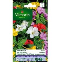 Graines Belle de Nuit Variée - VILMORIN