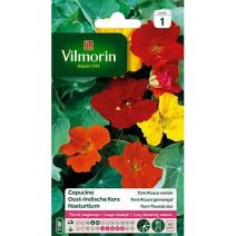 Graines Capucine Tom Pouce en Mélange - VILMORIN
