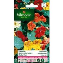 Graines Capucine Valina Variée - VILMORIN