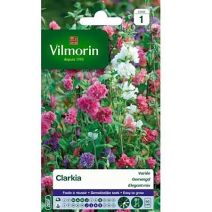 Graines Clarkia Variée - VILMORIN