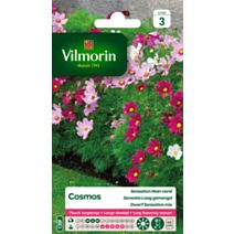 Graines Cosmos Sensation Nain Varié - VILMORIN