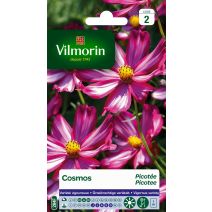 Graines Cosmos Picotée - VILMORIN