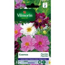 Cosmos psychée série 2 Vilmorin