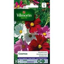 Graines Cosmos Sensation Varié - VILMORIN