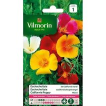 Graines Eschscholtzia de Californie Varié - VILMORIN